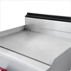 Electric Grill and Griddle