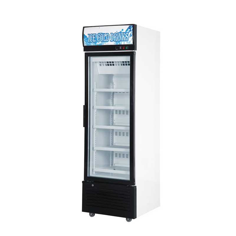 Glass Door Freezer